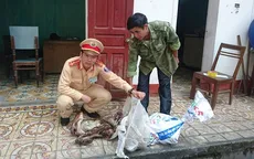 Nghệ An: Phát hiện vụ vận chuyển 4 cá thể khỉ trái phép
