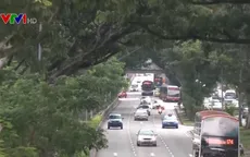 Quy hoạch không gian xanh, Singapore hướng tới xây dựng đất nước thành khu vườn chung