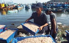 Ngư dân Hà Tĩnh trúng đậm mùa ruốc đầu xuân