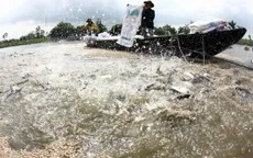 Kiểm soát dư lượng hóa chất, kháng sinh trong nuôi trồng thủy sản