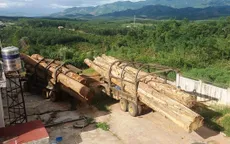 Kon Tum: Bắt giữ hai xe vận chuyển gỗ lậu từ Lào về Việt Nam