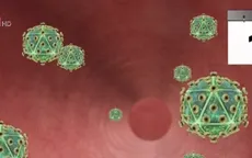 Mỹ: Phát hiện kháng thể vô hiệu hóa được 99% chủng virus HIV