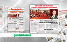Kinh tế tư nhân – Một động lực quan trọng của nền kinh tế