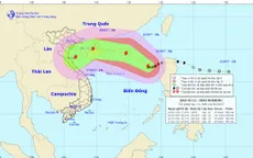 Bão số 11 giật cấp 12, cách Hoàng Sa 620km