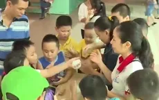 TP.HCM: Nhiều trường công lập dạy kỹ năng sống cho học sinh trong dịp hè