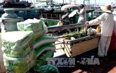 Phú Yên nạo vét khẩn cấp lạch Đông Tác