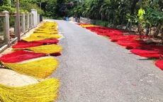 Làng chiếu Định Yên “lột xác” với diện mạo đương thời