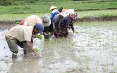 Các địa phương khu vực Bắc Bộ bắt đầu lấy nước vụ Đông Xuân
