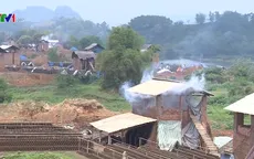Khó xóa bỏ lò gạch thủ công ở Tuyên Quang