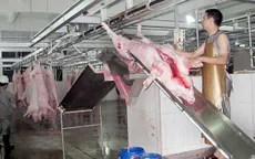 Bình Định sẽ xây dựng 31 cơ sở giết mổ tập trung