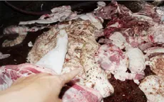 Bắt quả tang cơ sở giết mổ lợn bệnh ở Đồng Nai