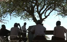 Lớp học dưới gốc cây của trẻ em nghèo tại Kenya