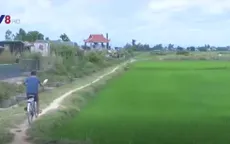 Không được nhận tiền hỗ trợ đất lúa, người dân Phú Yên bức xúc
