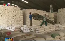 Tồn kho nhiều, doanh nghiệp gạo lao đao