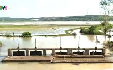 Hơn 300 ha lúa Nam Trung Bộ bị ngập úng do mưa lũ bất thường