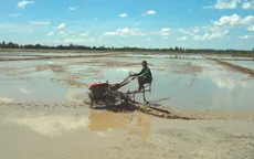 Ngừng sản xuất lúa vụ 3 để đón phù sa