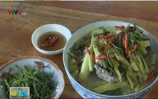 Thưởng thức món lục bình nấu cá trê mẻ chua
