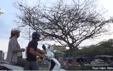 Cây mai cổ thụ có giá hơn 1 tỷ đồng tại Cần Thơ