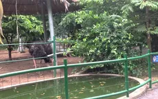 Vườn thú Đầm Sen hướng đến là thành viên Hiệp hội Các vườn thú Đông Nam Á