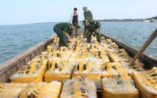 Quảng Ninh: Bắt 2 vụ vận chuyển ốc hương, tôm không rõ nguồn gốc