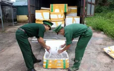 Quảng Ninh: Bắt giữ gần 1 tấn cá khoai không rõ nguồn gốc