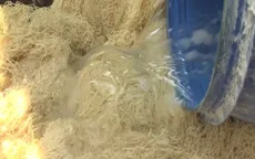 Bình Dương: Phát hiện cơ sở sản xuất mì sợi sử dụng hàn the