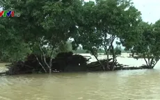 8 người thiệt mạng do mưa lũ tại Nghệ An