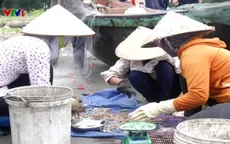 Nam Định trúng đậm mực biển