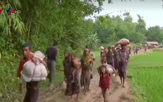 Myanmar lập ủy ban cố vấn thực thi khuyến nghị về bang Rakhine