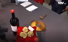 Nấm truffle trắng: Từ cuộc săn tìm kỳ công đến đấu giá xa xỉ