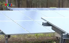 Năng lượng mặt trời hấp dẫn nhà đầu tư
