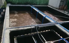 Nhiều nơi nước thải đô thị chưa xử lý được Nitơ, Phốt pho