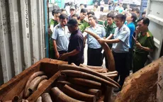 Phát hiện nhiều sản phẩm chế tác từ ngà voi tại Gia Lai