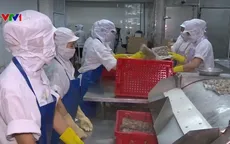 Thái Bình xuất khẩu ngao sạch đi nhiều nước