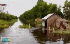 Người dân vùng rừng U Minh Hạ ở Cà Mau bị ngập úng kéo dài