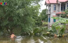 5 ngày sau vỡ đê, người dân Chương Mỹ vẫn bơi trong nước lũ
