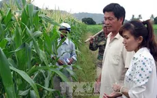 Hàng nghìn hộ dân Tây Nguyên nhận hỗ trợ sau hạn hán