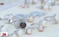 Khám phá nghề nuôi trai tại Côn Đảo