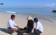 Ngư dân Quảng Trị được mùa đánh bắt hải sản