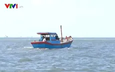 Gia tăng tình trạng ngư dân bị bắt do đánh bắt hải sản trái phép