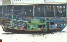 Ngư trường Bình Thuận cạn kiệt do nạn đánh bắt “tận diệt” hải sản