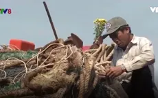 Gần 18.000 lao động xuất khẩu sau sự cố môi trường biển