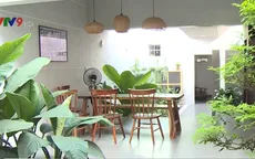 Ngôi nhà hang đẹp từng centimet ở vùng quê Vĩnh Long