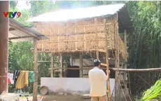 Nhà rơm - Mô hình thích ứng với mưa lũ ở vùng quê Phú Yên