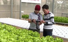 Đà Lạt: Trang trại trồng rau an toàn đón khách du lịch