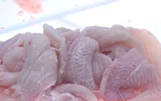 Trung Quốc - thị trường nhập khẩu cá tra lớn nhất của Việt Nam