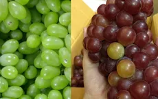 Nho Ninh Thuận - Đặc sản của vùng nắng gió
