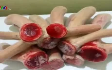 Hương Sơn vào mùa cắt nhung hươu