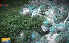 Đồng Nai: 30 ngày để tháo dỡ nhà máy nhựa gây ô nhiễm