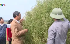 Quỹ hỗ trợ giải quyết cơn "khát" vốn cho nông dân